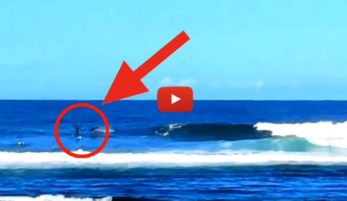 "Blame Laird!" yelled Flipper.