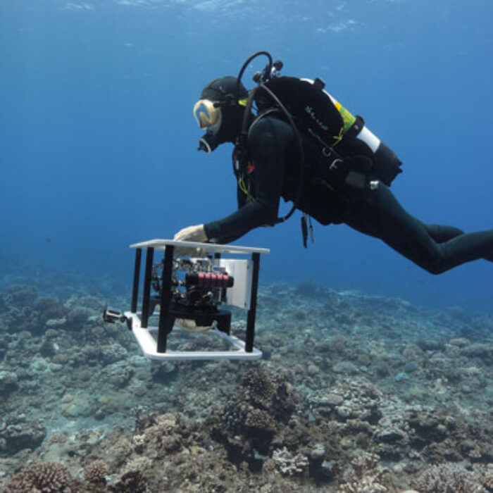Imagine being able to explore the reefs beneath some of the world's most famous waves without having to come up for air?