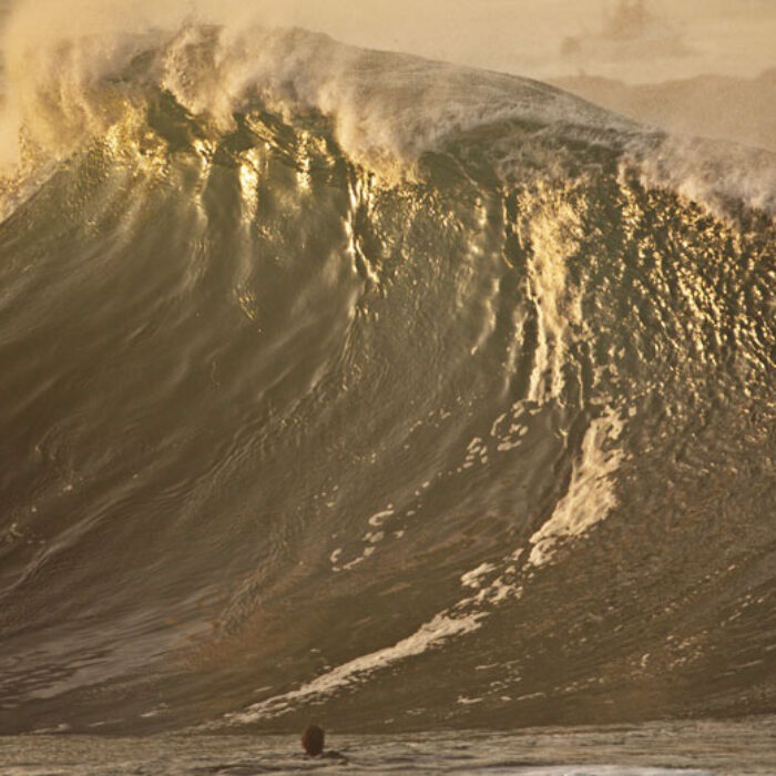 The Wedge Goes Off (Again)