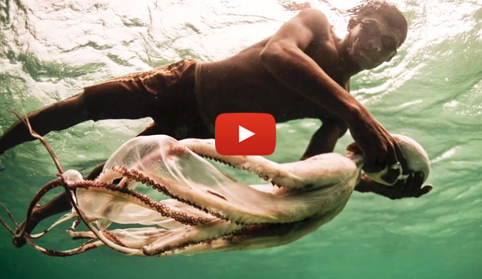 The Coral Triangle is often called the "Amazon of the Sea," because of the incredible amount of diversity beneath the surface.