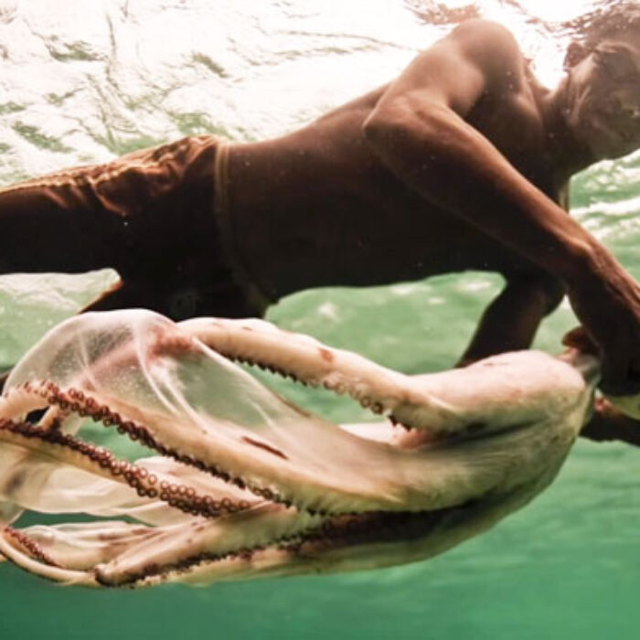 The Coral Triangle is often called the "Amazon of the Sea," because of the incredible amount of diversity beneath the surface.