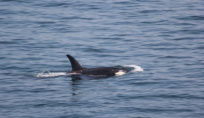 Enough surf for one day. Photo: Bali Sharks