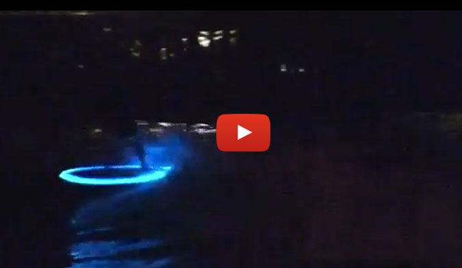 Creativity and style are the name of the game for all of us. Making those qualities into something other surfers can enjoy? That's just flat out art.