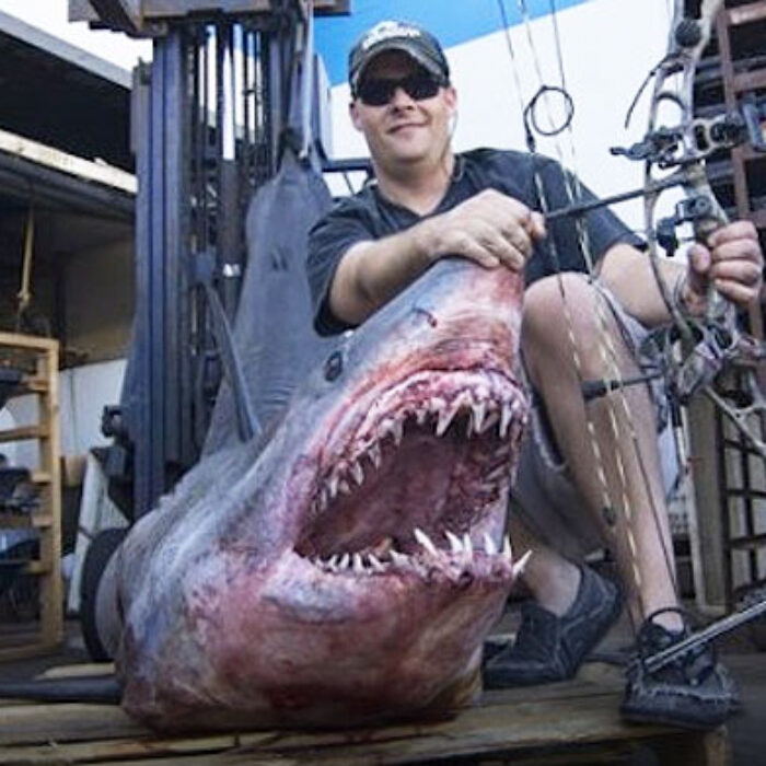 The shark Jeff shot was 809.5 pounds, and measured 11 feet long. It totally deserved to be shot in the back from a boat, mostly because it was so big. That shit's just not ok.