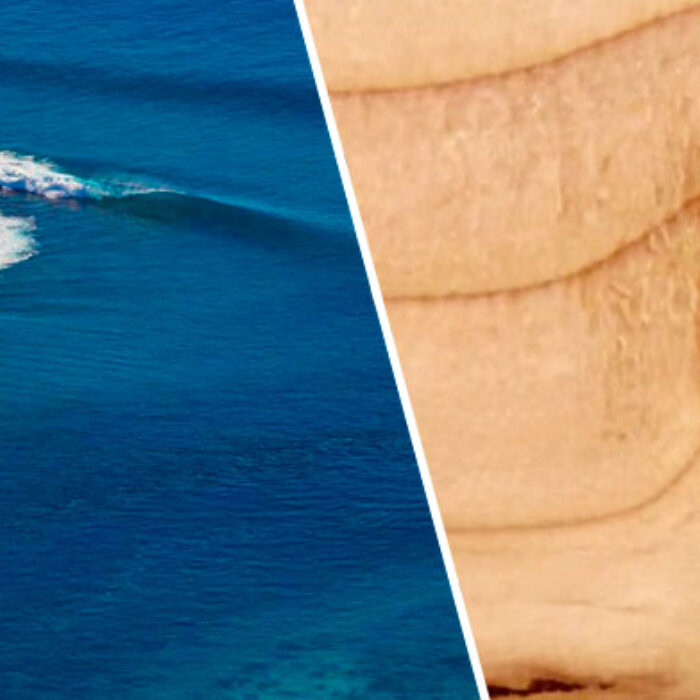Nature's similarities are amazing.