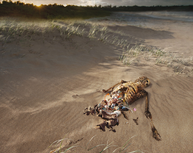 Our oceans aren't the only ones in danger. Photo: Surfrider Australia