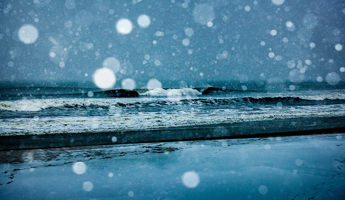 Fallen Snow. Photo: Matt Clark