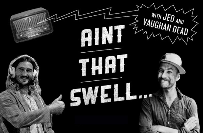 Aint-That-Swell-Banner