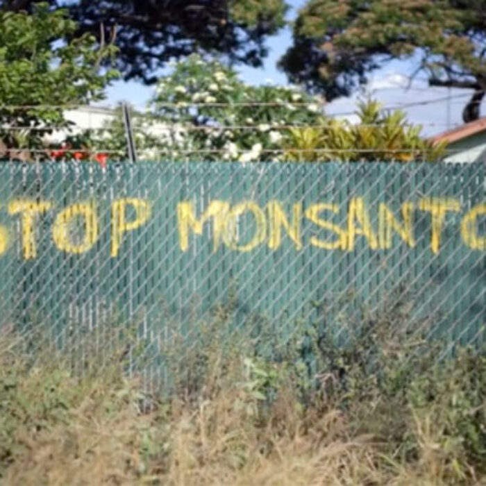 I've learned that food is perhaps the most important cause of today's environmental and social ills.