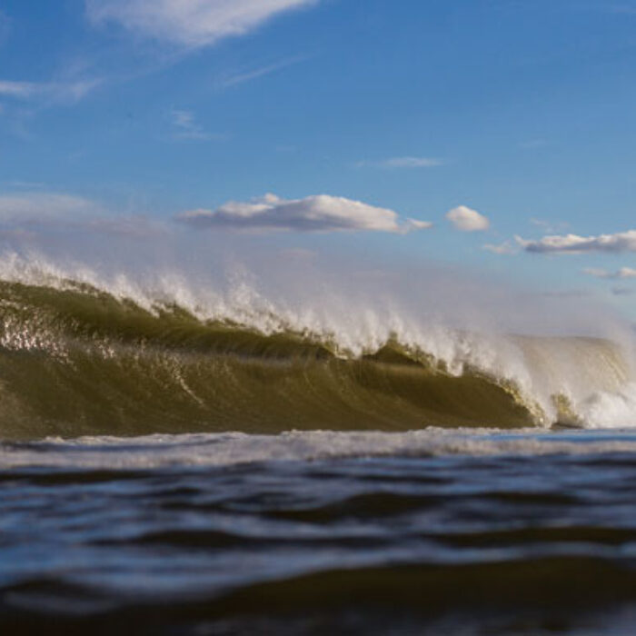 Summer time in New Jersey.