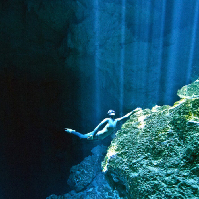 Ocean Diver