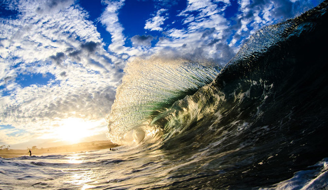 Wedge Talen. Photo: Ronald Hons
