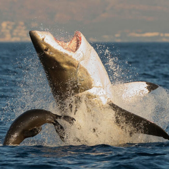 Fear not! Photo: Shutterstock