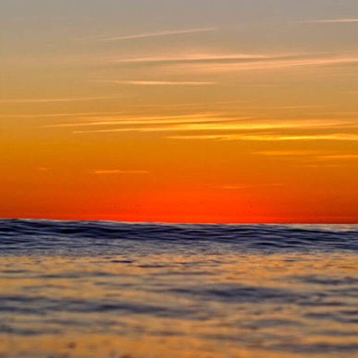 Forever Horizon.