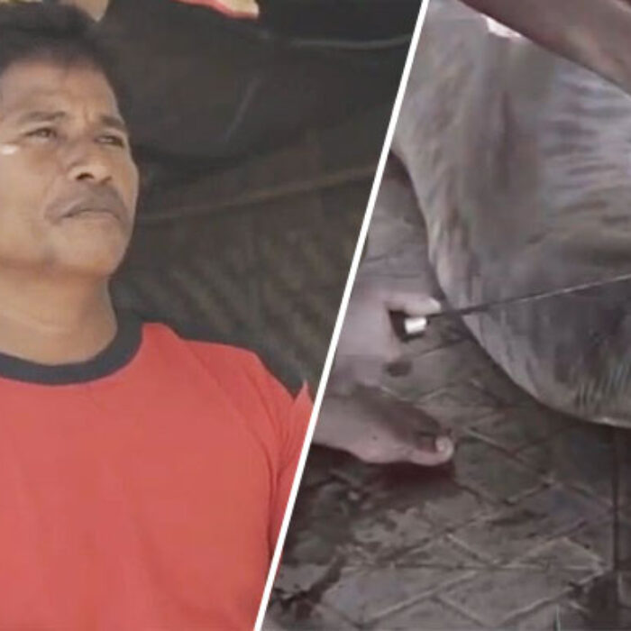 Both the sharks and the fishermen need your help.