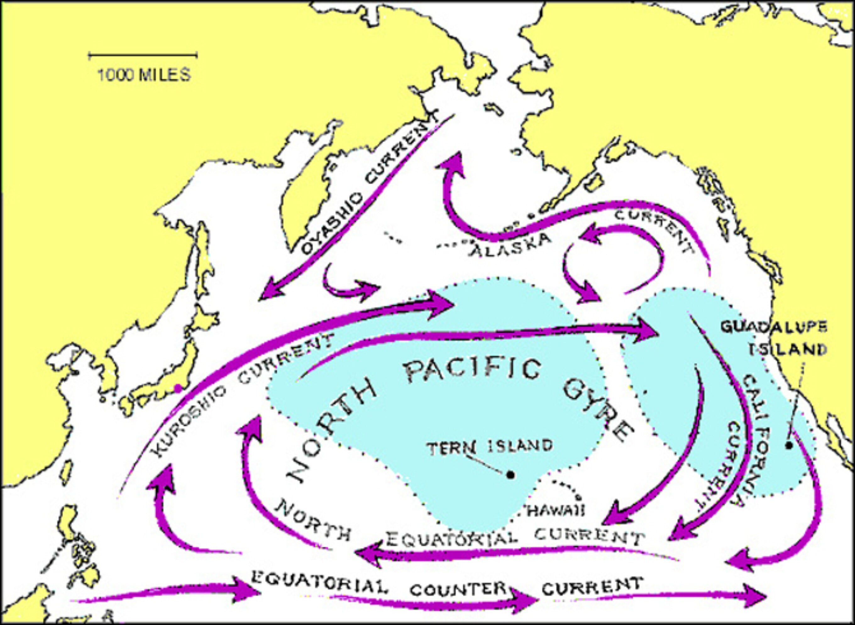 Pacific-5