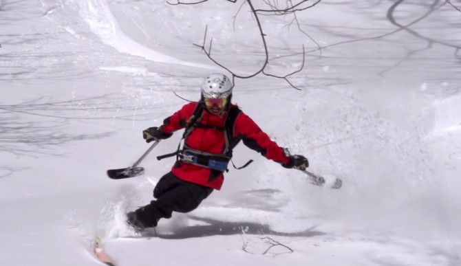 Screenshot: Out On a Limb