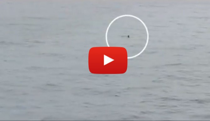 Solano Salazar Rescued After 2 Days floating in the pacific.