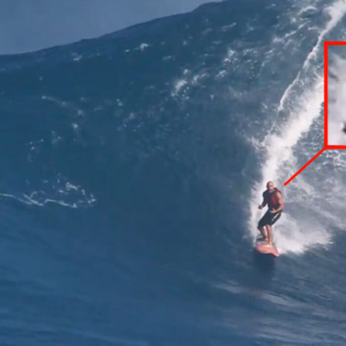 shane dorian jaws