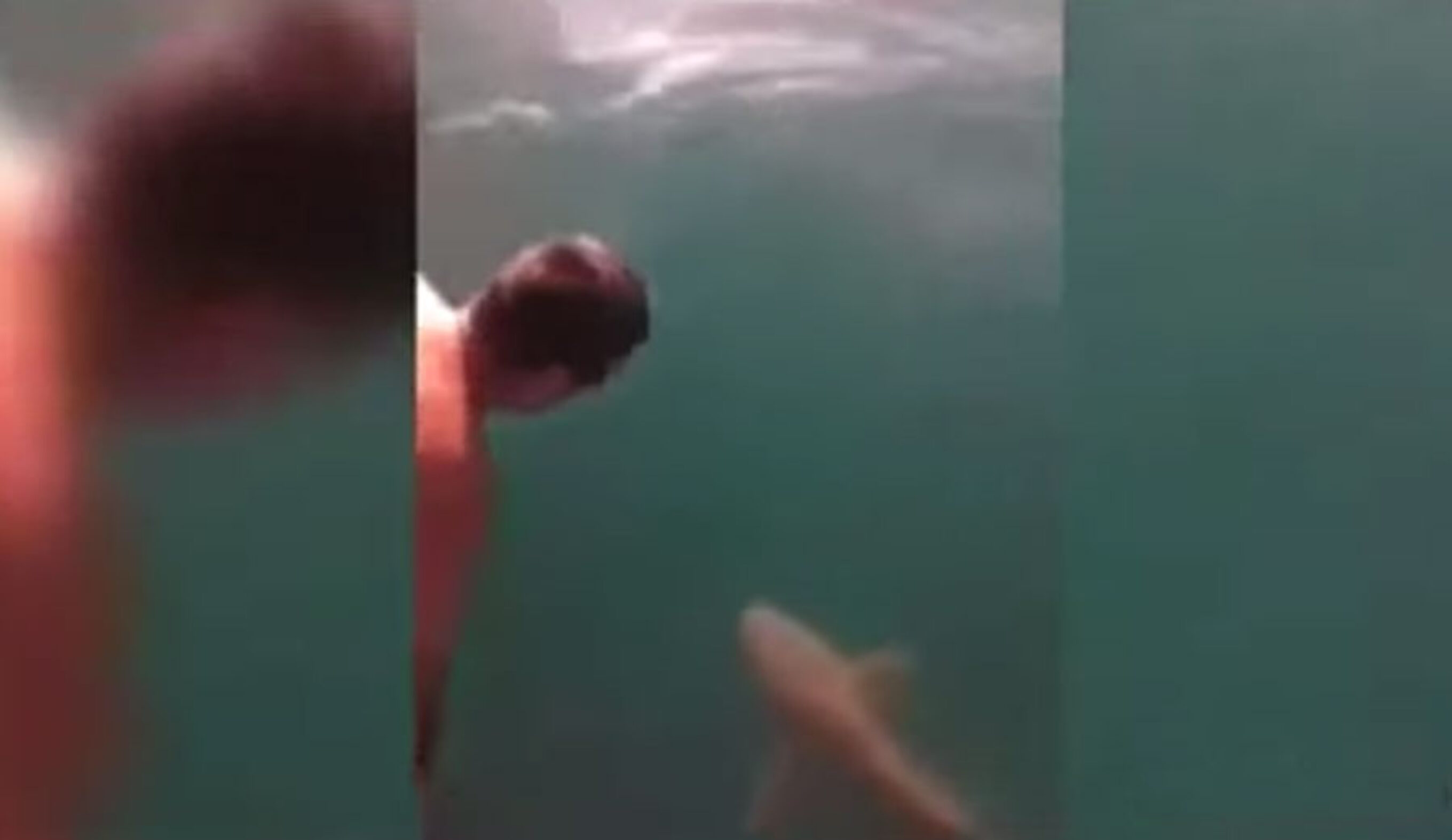 Crazy man jumps on tiger shark.