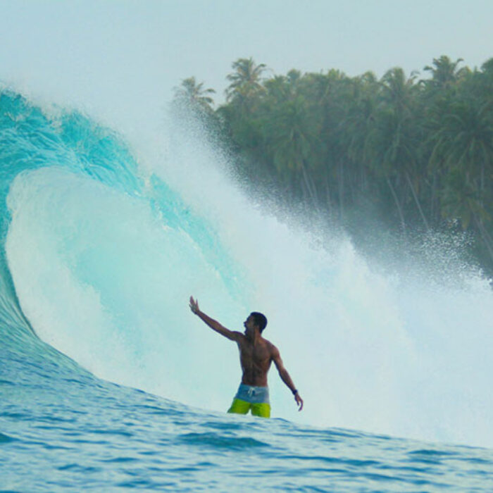 Crystal clear warm water, palm tree jungles, and perfect waves...