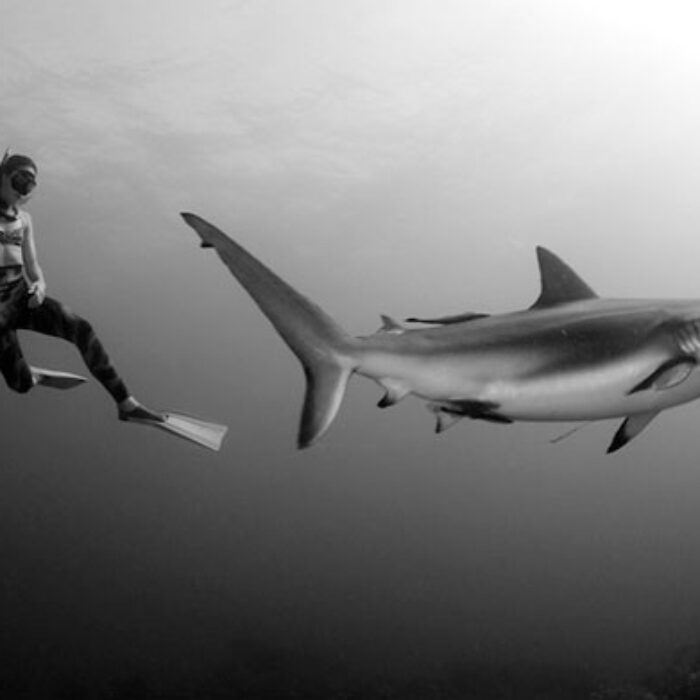 Doesn't this look better than being terrified?