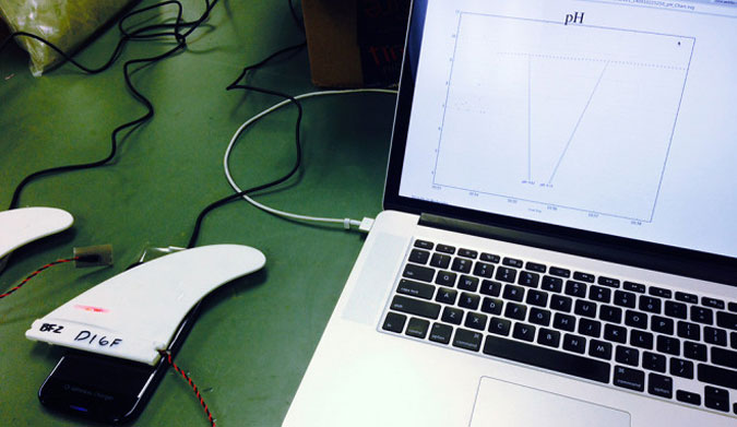 The fins collect data that researchers have found difficult to obtain. 