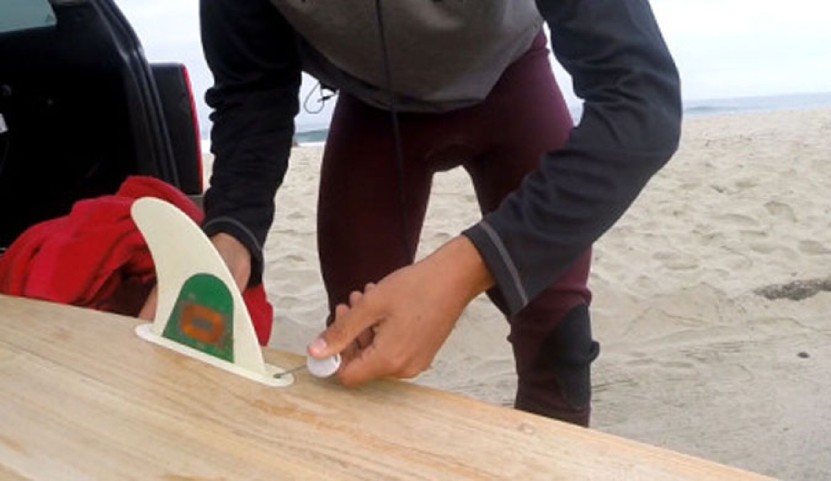 Hold a line and help science at the same time. Photo: Smart Phin