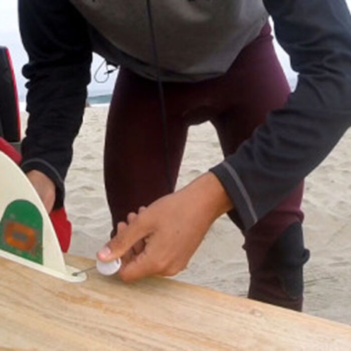 Hold a line and help science at the same time. Photo: Smart Phin