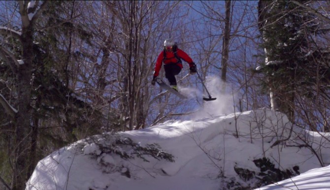 And he's probably having more fun. Screenshot: Out On a Limb