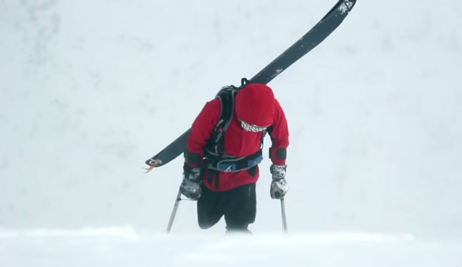 Screenshot: Out On a Limb