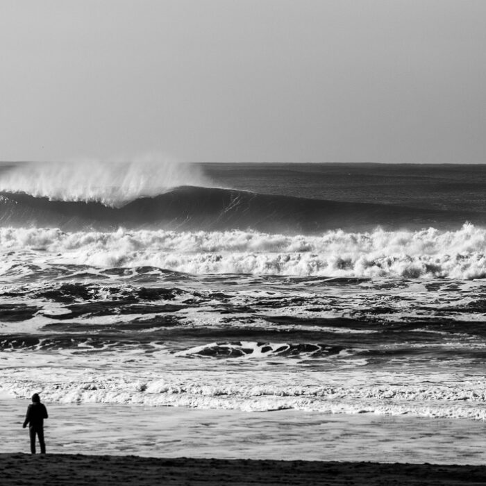 One day in NorCal after a massive storm.
