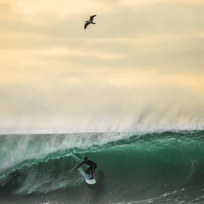 for a few days, after a large, powerful storm made its way into the area, Los Angeles turned into something rarely seen: huge, empty, and in most cases, pretty damn perfect.