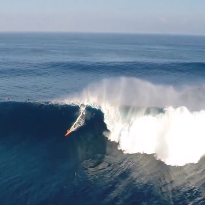 Powerful Jaws captured by drone.