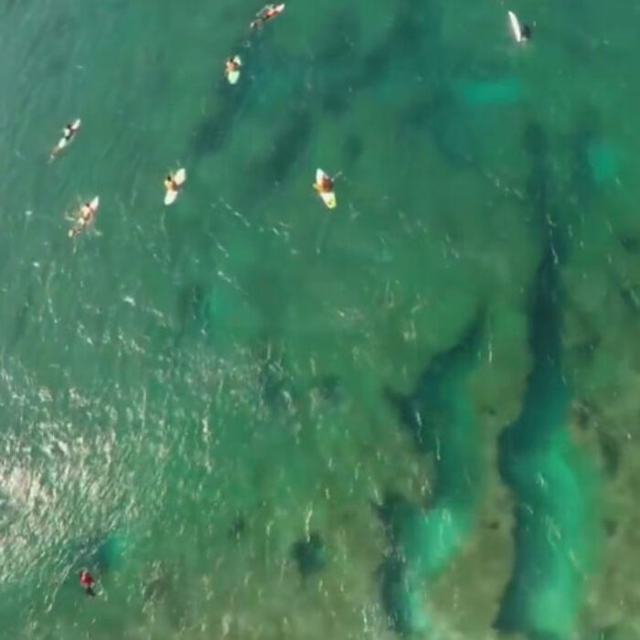 Bird's-eye view of Pipeline