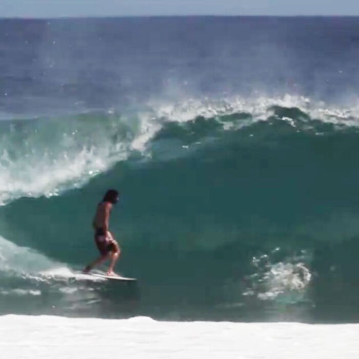 Craig Anderson Hypto Krypto by Hayden Shapes