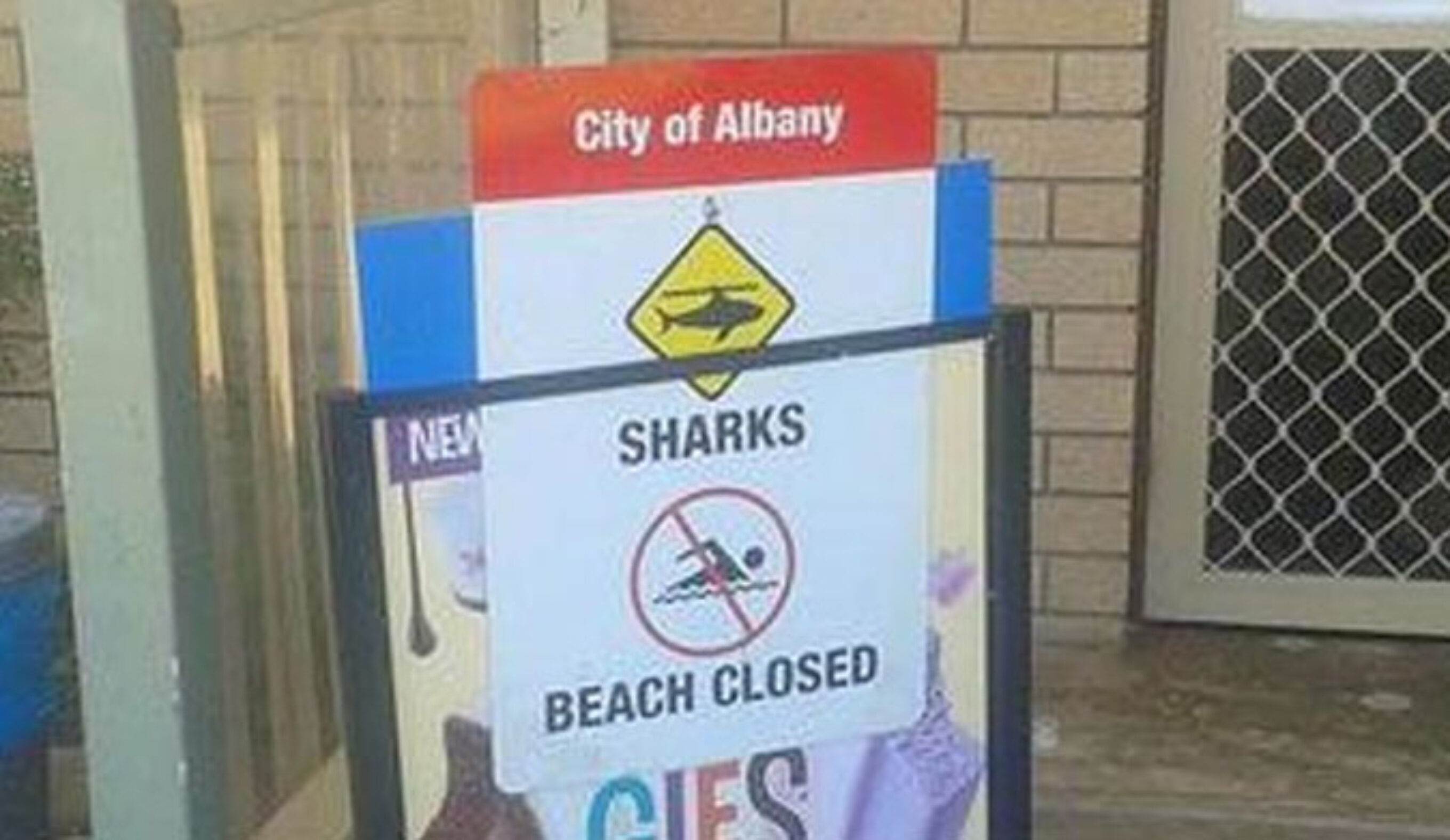 Today's attacked forced local officials to close the beach and surrounding areas. They are warning holiday makers and locals not to enter the surrounding waters until further notice. Photo: <a href="https://www.9news.com.au">9News.com.au</a>