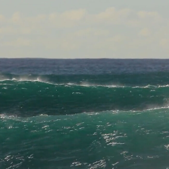 Best of the North Shore 2014