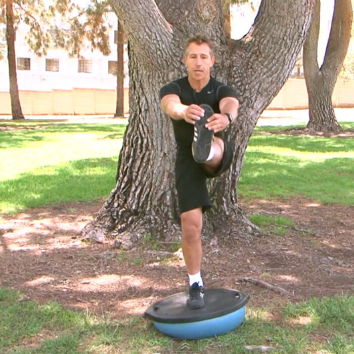 Fit2Shred Exercise