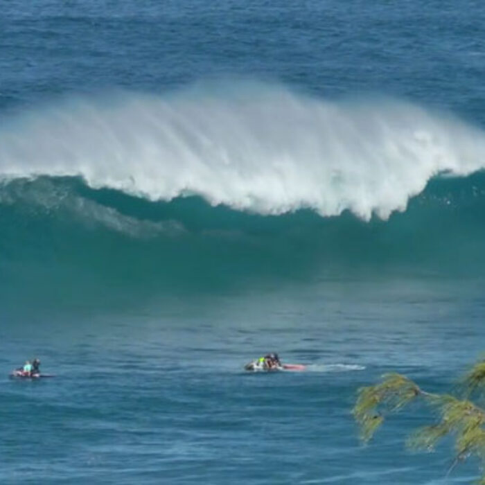 When Jaws turns on, the world takes notice.
