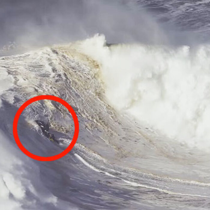 Nazaré went pretty ballistic in December.