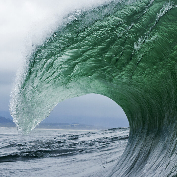 Ray Collins. 2014 portfolio challenge winner
