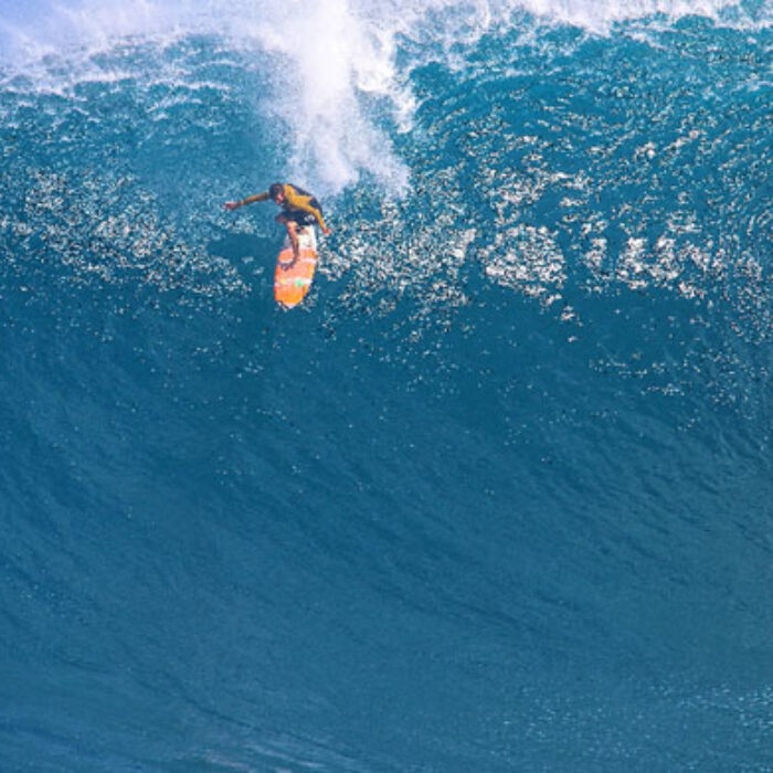 Wildcard Albee Layer on a free surf bomb.