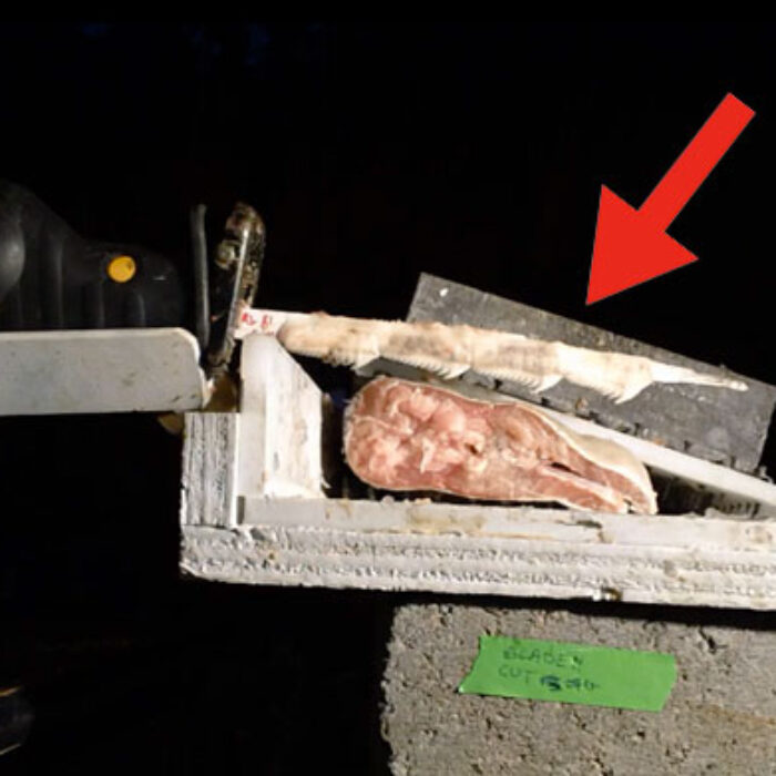 Reciprocating saws are an all-around tool with a blade that moves back and forth, which as it turns out, is pretty similar to how a shark's teeth move.