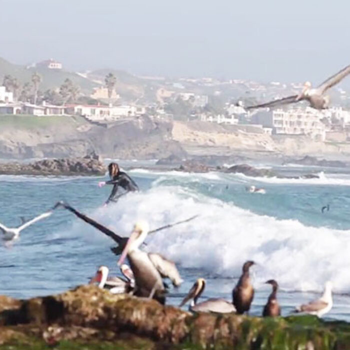 "Surfers have a role to play as a voice for the ocean. To speak on behalf of the places they love."