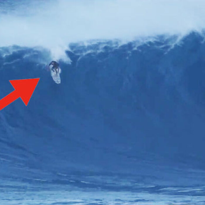 From the get-go, Carlson rides this Jaws monster with perfection.