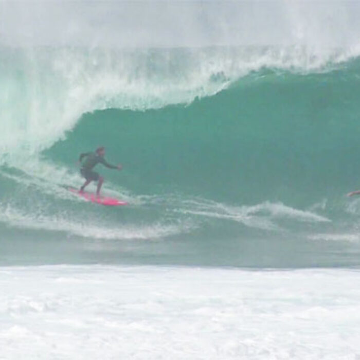 Mark healey mike ho double barrel