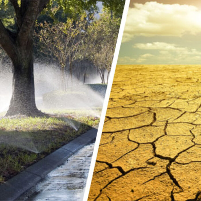 The ramifications of the drought in California extend far a wide. Photo: Shutterstock.com