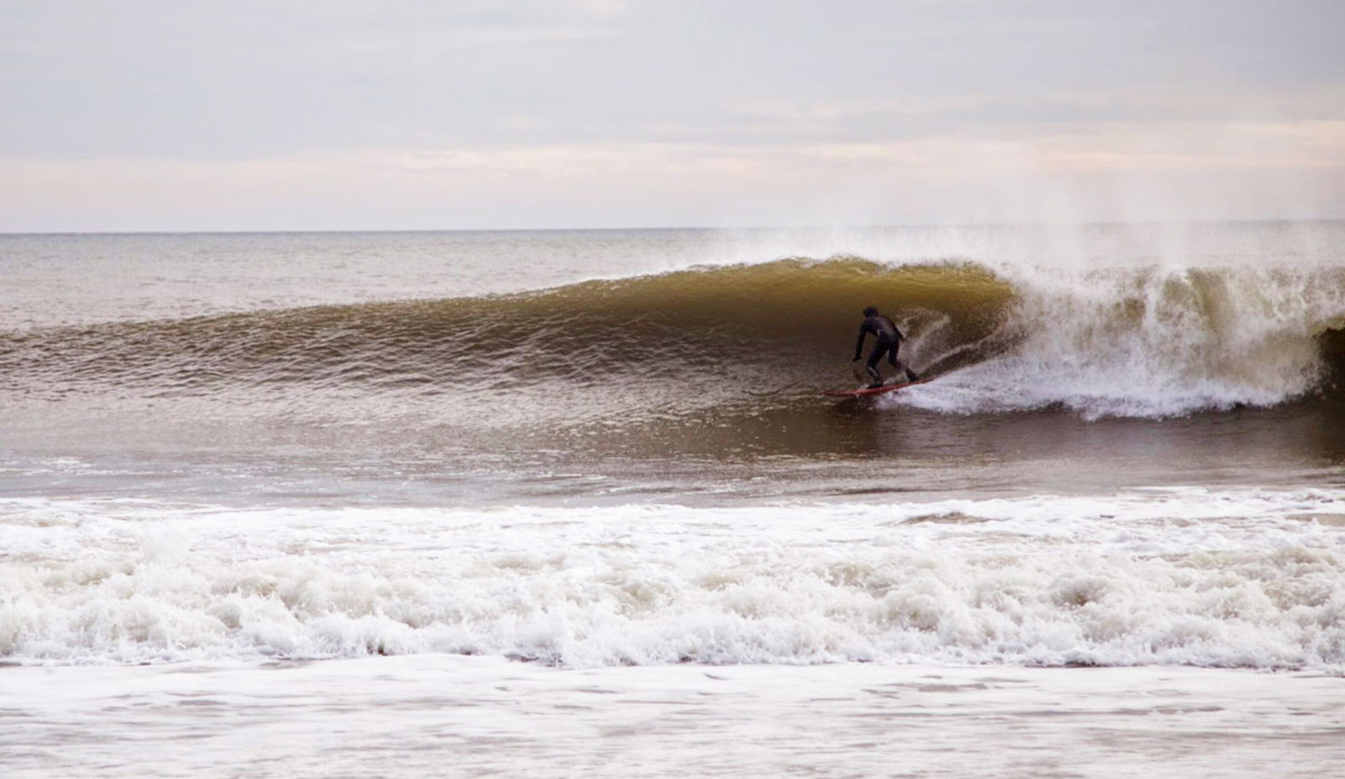 Surprise New Jersey Swell