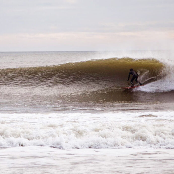 Surprise New Jersey Swell